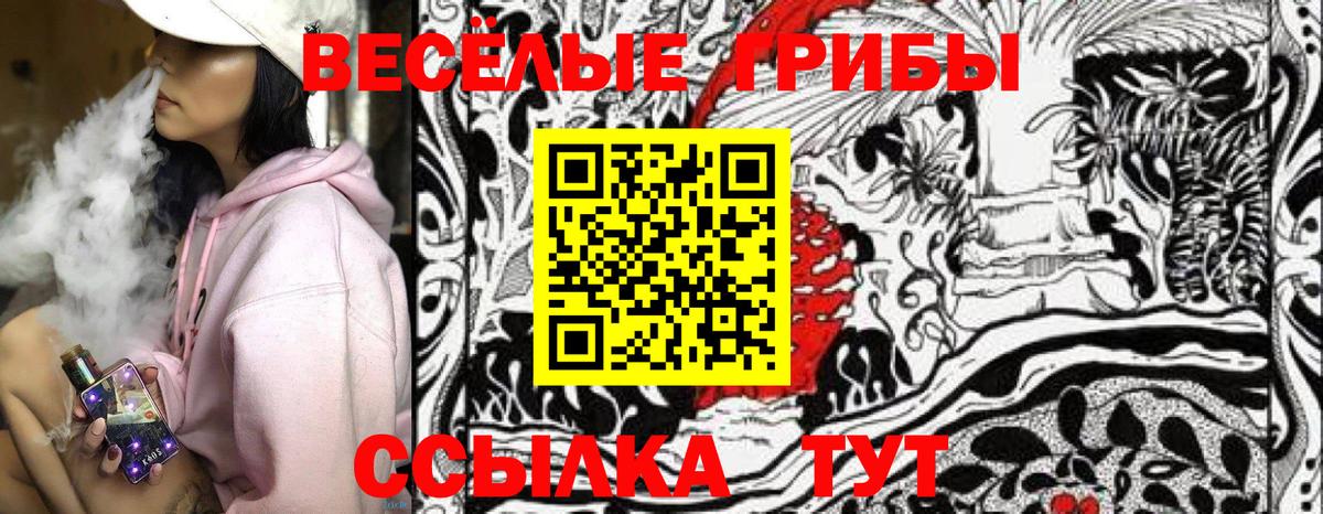 Отрадный  Галлюциногенные грибы мицелий  Вход с VPN 